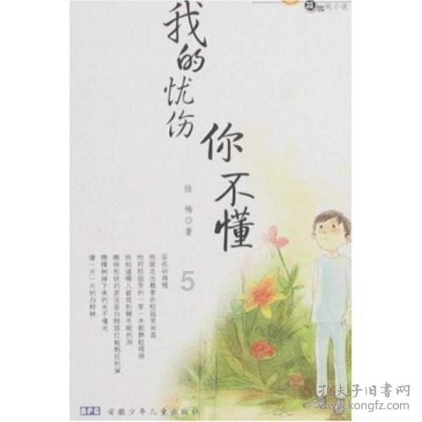 进击的飞机